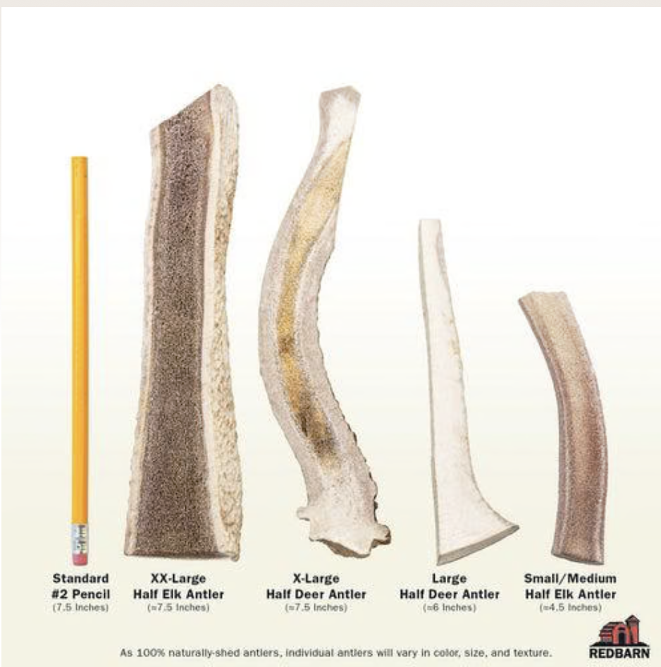 Elk Antler single or case