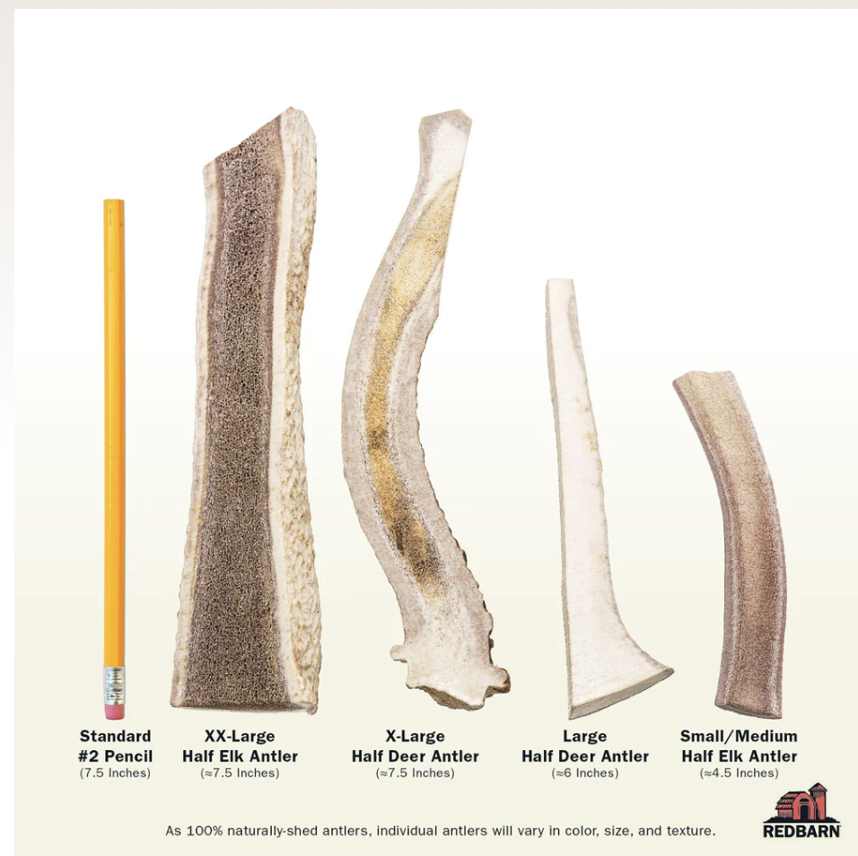 Deer Antler single or case