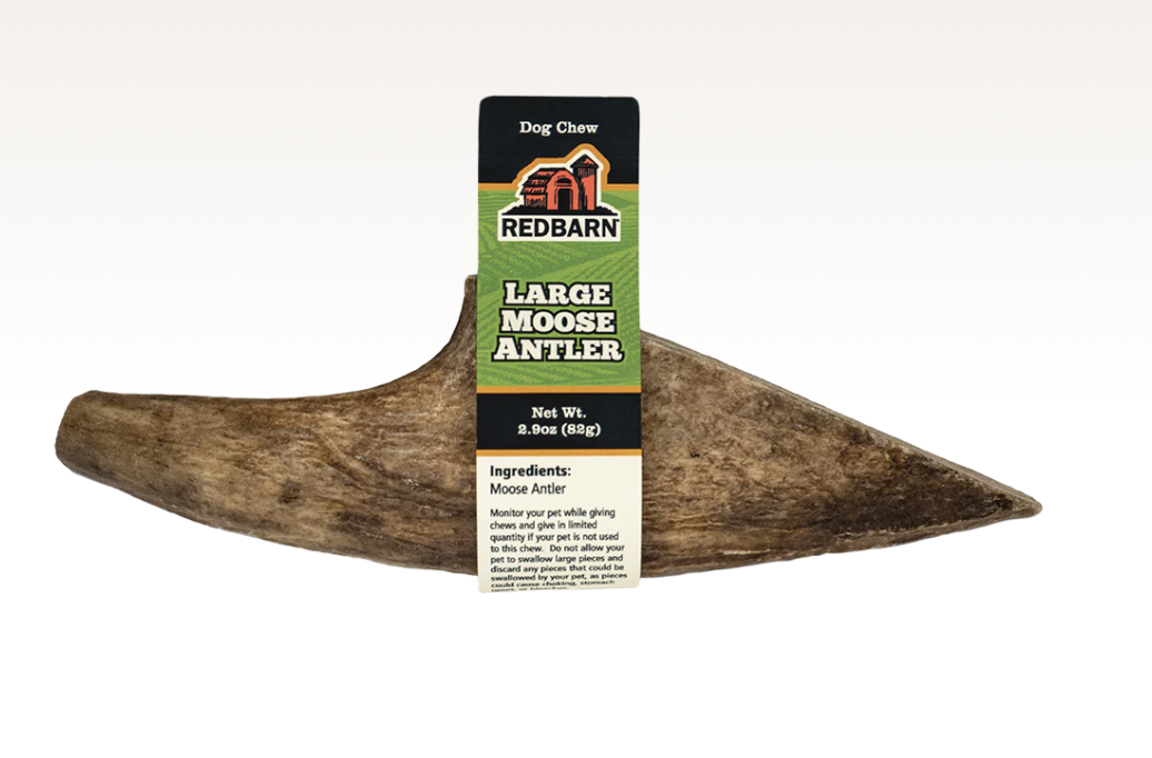 Moose Antler single or case