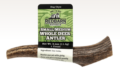 Deer Antler single or case