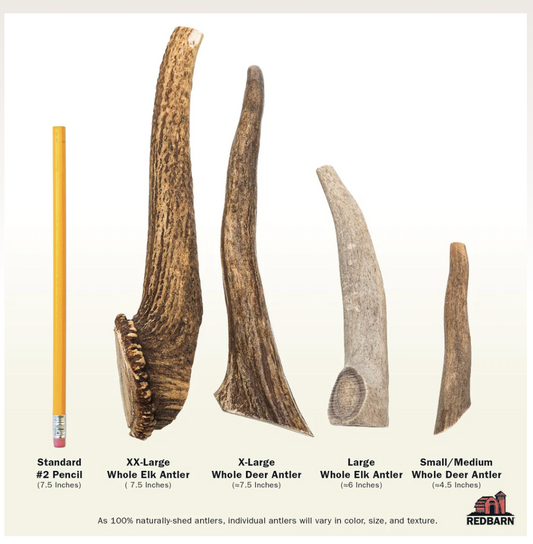 Deer Antler single or case