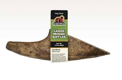 Moose Antler single or case